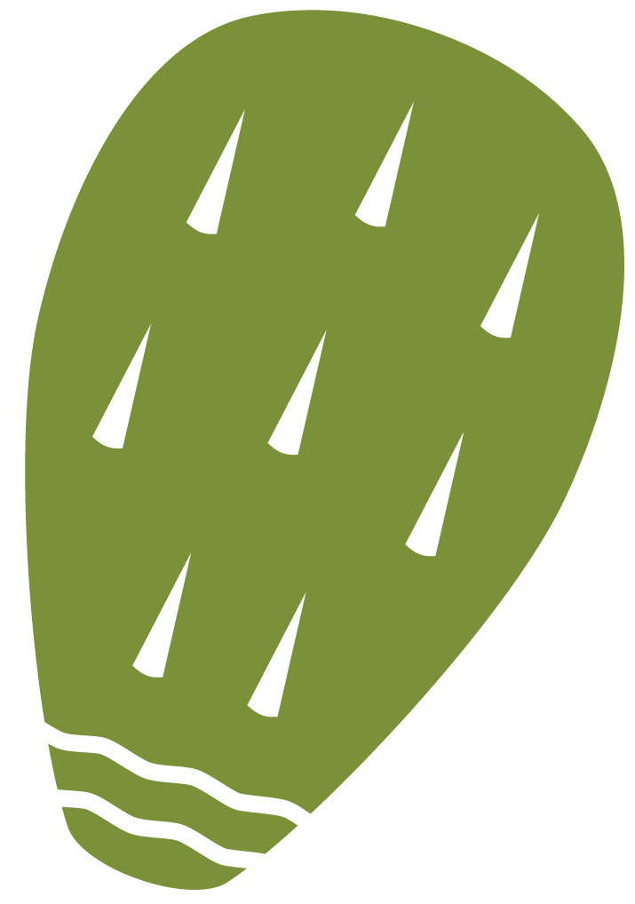 Nopal Icon